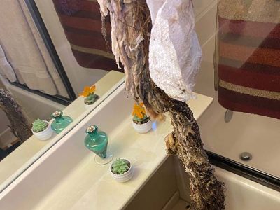 Bathroom Drain Cleaning